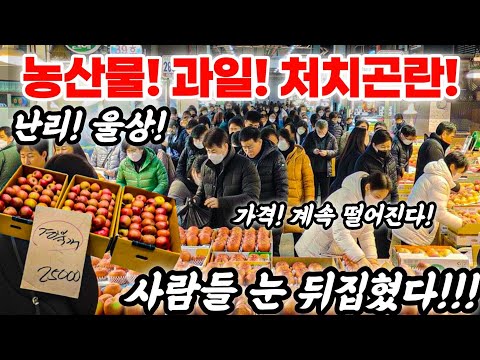 농산물 과일 처치 곤란! 난리! 울상! 가격 계속 떨어진다! 사람들 눈 뒤집혔다! #시장 #food #먹방 #농작물 #과일 #가격비교 #폭락 #세일 #먹거리 #먹방