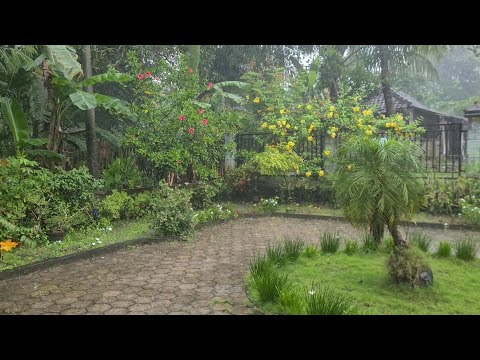 heavy rain in the garden - for sleep, relaxation, and stress