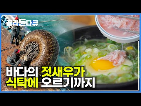 ‘연봉은 일시불로’ 배 한번 뜨면 밤낮 없이 수개월 바다 위 극한 새우잡이! 바다 사나이들의 출항에서 만선까지 파란만장 항해기│남해바다 젓새우잡이│바닷가 사람들│#골라듄다큐