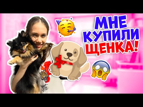 Ksyusha BOUGHT A PUPPY👉 ... Vlog