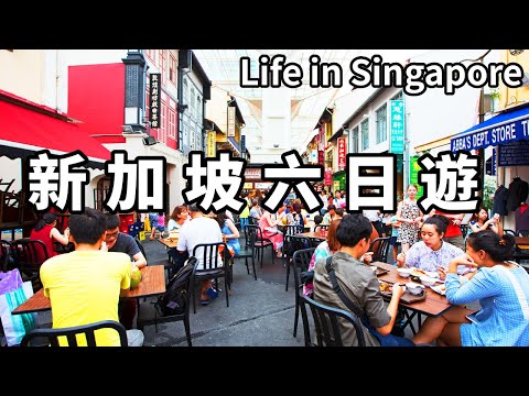 中國小夥新加坡六日遊！到當地著名的食閣去吃飯，看看當地華人的生活如何【大海去旅行】