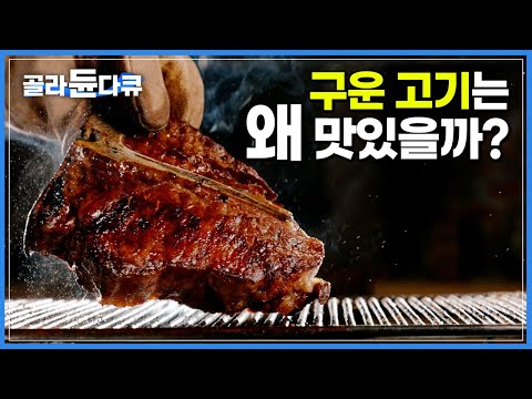 잘 구운 고기가 맛있는 과학적 이유┃모든 음식 요리법의 기본 ‘열’┃요리의 과학┃다큐프라임┃#골라듄다큐