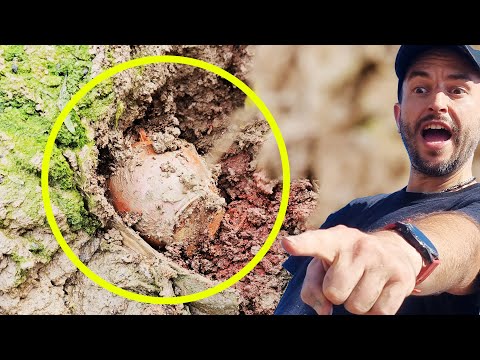 What did we find in the mud? A Treasure island special!