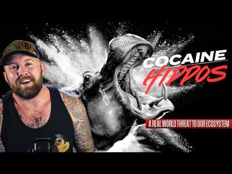 Pablo Escobar’s Hippos Might Cause The Apocalypse