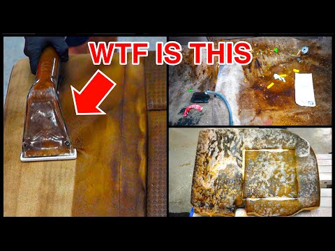 Deep Cleaning The Nastiest Toyota Ever! MUST WATCH Insanely Satisfying Car Detailing TRANSFORMATION!