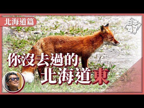 【日本47 北海道上】北海道不只能玩雪！馳騁單車穿越山林秘境，和北狐、梅花鹿交朋友；在道東划獨木舟徜徉山湖，享受一趟療癒人心的自然之旅｜日本47 EP.2
