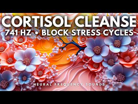 741 Hz 🌿 Emotional Reset – Release Deep Stress & Restore Inner Stability | 8 Hour Meditation Music