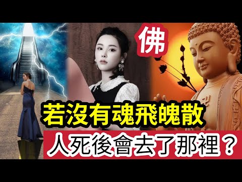 #佛禪 死後世界！蔡天鳳沒有「魂飛魄散」臨床心理學「分析人死後」必經7大過程！佛教又如何看「人往生後會到那裡？」瀕死體驗中「看到好多人在排隊」領取一樣非常重要的東西 ？ (shorts)