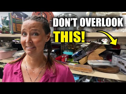 Organize Your ENTIRE RV For Less Than $100 (with no plastics)!