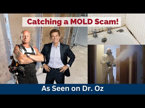 Mold Scammers EXPOSED by Mike Holmes and Dr. Oz