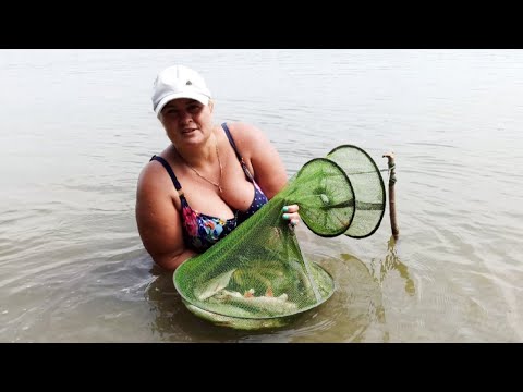 СЕМЕЙНЫЙ ОТДЫХ С ПАЛАТКОЙ  И РЫБАЛКА НА РЕКЕ ОБЬ В ИЮЛЕ. ВАРИМ УХУ, ЖАРИМ МЯСО НА УГЛЯХ,  КУПАЕМСЯ.