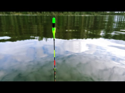 ОН ПОДНЯЛ И ПОТАЩИЛ ПОПЛАВОК, ЭТО КРУПНЯК. ДОННАЯ ЛОВЛЯ НА ПОПЛАВОК.