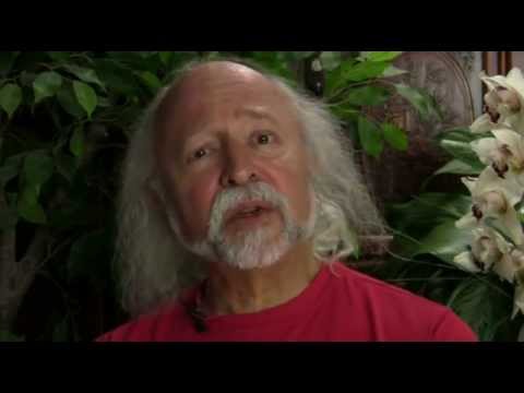 Venus Through the 12 Zodiac Signs [Preview]