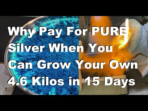 Silver Cell Harvest Hand Poured Silver Bar