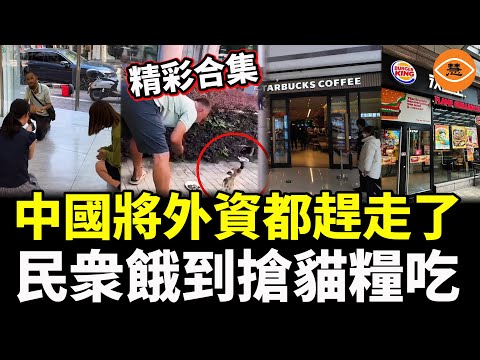 【精彩合集】中國將外資都趕走了，民衆餓到搶貓糧吃，星巴克土味十足，準備賣豆漿、油條了……