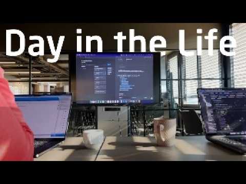 What professional Software Development Looks Like?