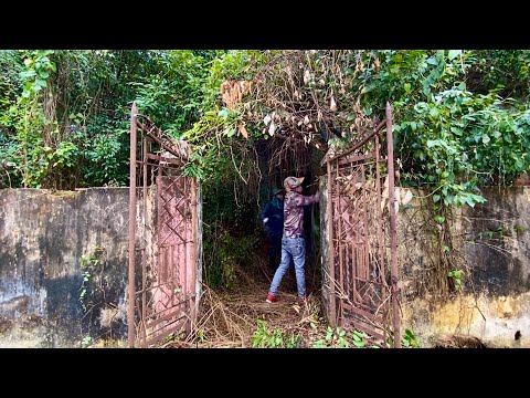 Shock cleaning house overgrown transformation abandoned 60 year | Clean up help free house
