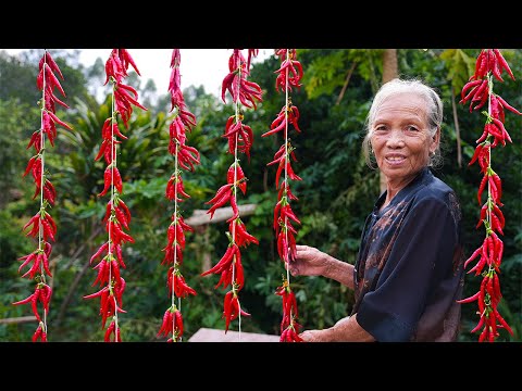 Grandma picked 30 kilograms of peppers to cook noodles and roast chicken｜Guangxi Grandma