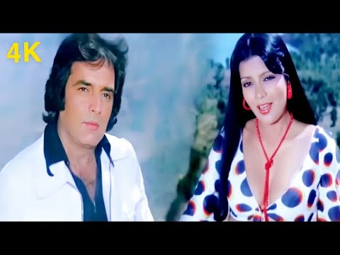 Kya Dekhte Ho Surat Tumhari | 4K Video | Qurbani | Feroz Khan, Zeenat Aman | Mohammad Rafi, Asha B