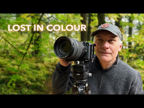 I Found Autumn’s Hidden Colours on Vancouver Island | Photography in John Dean Park