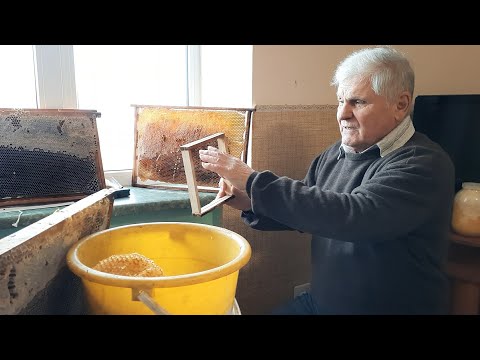 Comb Honey: Everything You Need to Know About Comb Honey