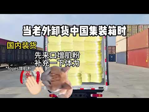 猫meme的日常-当老外卸货中国集装箱时#猫meme #猫meme小剧场 #猫meme剧场 #内容过于真实 #搞笑