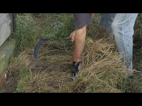 Grass hook and scythe at work.