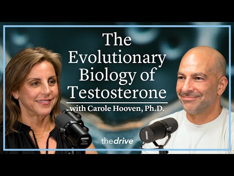 374 - The evolutionary biology of testosterone: male development & sex-based behavioral differences