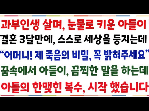 (반전신청사연)과부인생 살며, 눈물로 키원 아들이 결혼 3달만에 스스로 세상떠나는데 "어머님 꼭 비밀을 밝혀주세요" 아들이 꿈숙에서 나타나, 내게[신청사연][사이다썰][사연라디오]