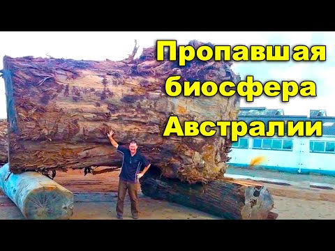 Пропавшая биосфера Австралии