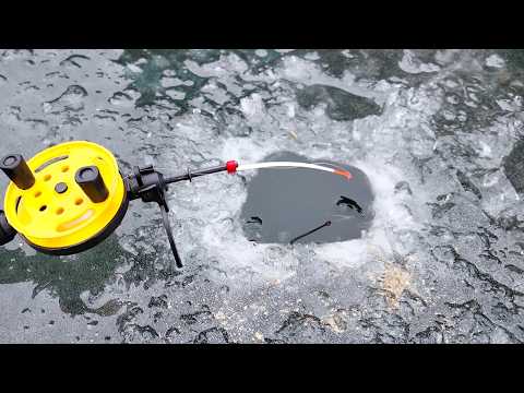 Зимова риболовля 2025! Перший лід, перший улов і підводні кадри