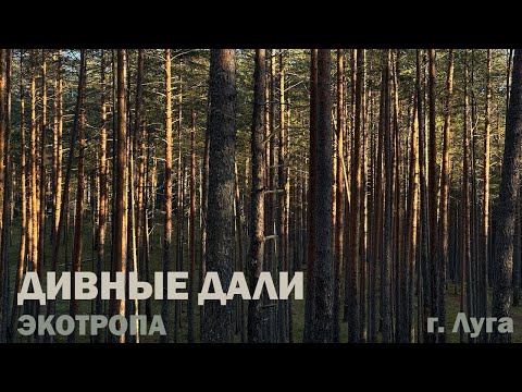 Экотропа Дивные дали | река Луга