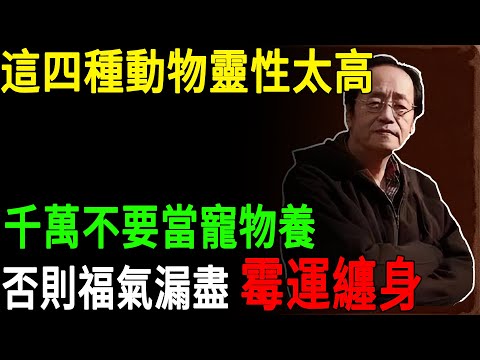 倪海廈：99%的家庭都養錯了，這四種動物靈性太高了，千萬不要當寵物養，否則否則福氣漏盡 霉運纏身#倪海廈#靈性動物#鎮宅禁忌 #風水大忌#福報 #家運#靈寵 #寵物禁忌#破財#中醫智慧#傳統文化