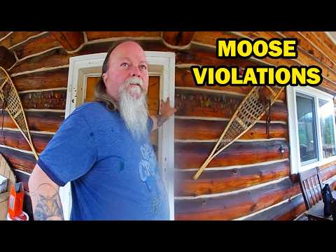 Sublegal Moose and Expert Questioning Leads to Massive Fines