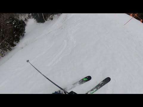 Whiteface Mountain Steeps, Glades, Double Diamonds, + More