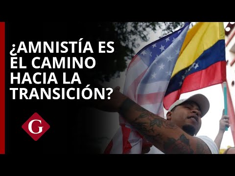 AMNISTÍA NO GARANTIZA UNA TRANSICIÓN DEMOCRÁTICA EN VENEZUELA I #radar24