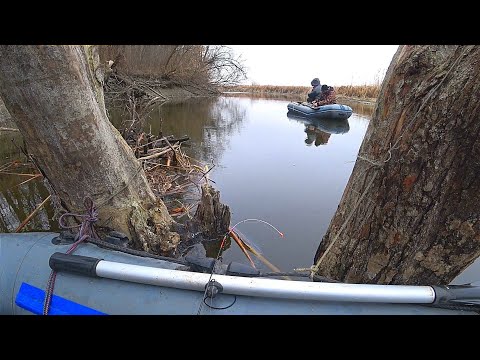 КАРАСІ МУТАНТИ КЛЮЮТЬ НА СИЛЬНІЙ ТЕЧІЇ. Зимова рибалка на карася