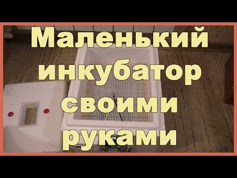 Инкубатор своими руками