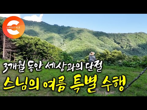 찾아오는 사람 없는 깊은 산속, 여름 수행을 위해 외딴 암자로 들어왔다ㅣ여름이 오면 단 3개월 두문불출 자급자족하는 스님의 특별 수행ㅣ#한국기행 