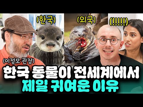 해외에서 난리난 귀여운 한국동물들🐰 | 🍪빠삭한수다 EP.25 | 이정모 타일러 니디 | 한글과자