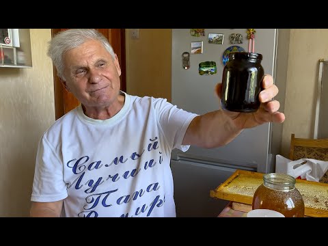 Bee Honey: Everything You Need to Know When Choosing