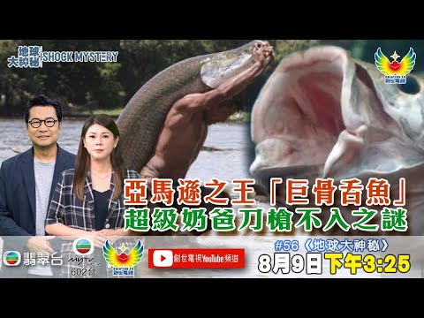 地球大神秘 #56 亞馬遜之王「巨骨舌魚」超級奶爸刀槍不入之謎    I 埃及歷史 I 科普特博物館大揭秘