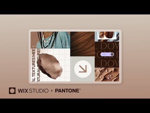 Wix Studio x Pantone | Create a multi-paced scroll