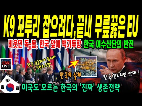 [해외감동사연] 나토가 K9 수출조건으로 한국 탄약공장 실사에 나섰는데, NATO 미국 경악 #NATO #K9 #국뽕