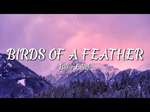Billie Eilish - BIRDS OF A FEATHER (Lyrics)