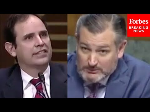 'Did You Know What You Were Doing?': Ted Cruz Grills Judicial Nominee Over His Record