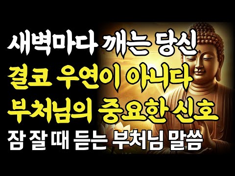 새벽 3시~5시, 당신이 자꾸 깨어나는 이유… 부처님의 경고!ㅣ부처님 말씀ㅣ불교 명언