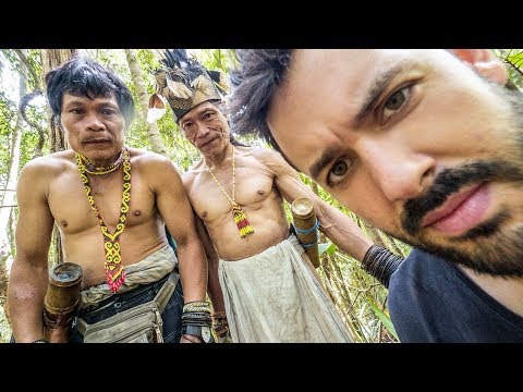 J'AI VU LE SCANDALE DE L'HUILE DE PALME