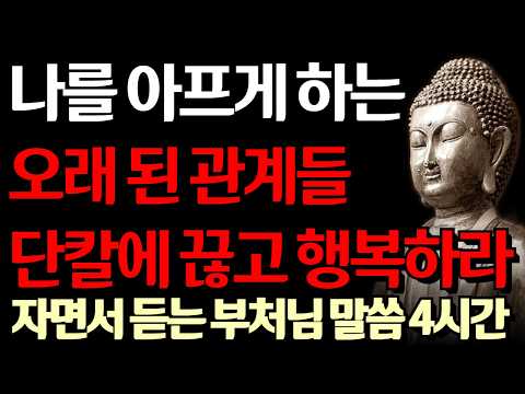 노후에는 나를 아프게 하는 인간관계 전부 끊고 새롭게 시작하라 I 나이 들어 친구들 연락 다 끊으면 생기는 변화 I 자면서 듣는 부처님 말씀 4시간 l 지혜 I 오디오북 I 철학