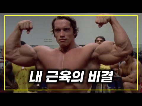 억만장자 아놀드, 그가 배우로 전향한 뒤 망해버렸던 이유 🔥넷플릭스 1위 다큐🔥 《아놀드》 한방에 몰아보기